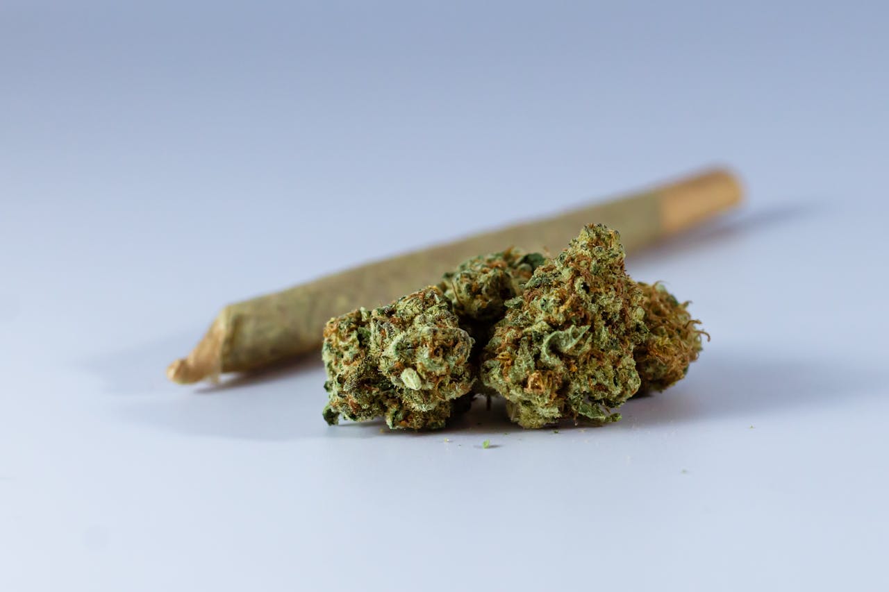 Macro shot of cannabis buds next to a pre-rolled joint, ideal for medicinal or recreational use imagery.